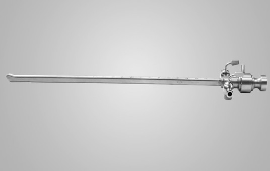 Mirror scabbard and closed